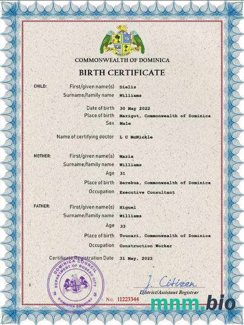 Dominica rekord życiowy narodziny certyfikat PSD szablon